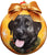 Christmas Dog Shatterproof Ball Ornament