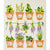 Fresh Herbs Swedish Cloth